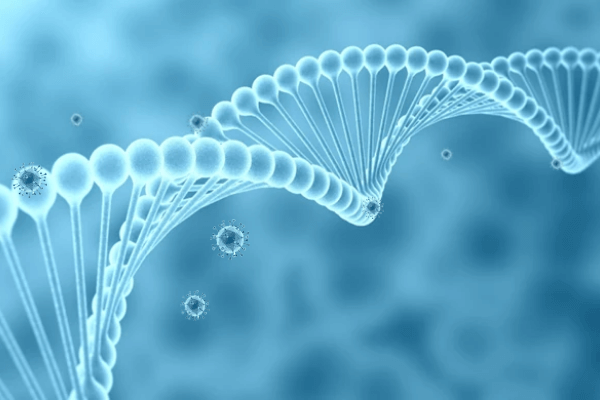 甲状腺贝塔受体基因检测的作用是什么？