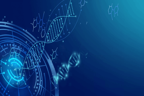 DNA亲子鉴定的基本原理